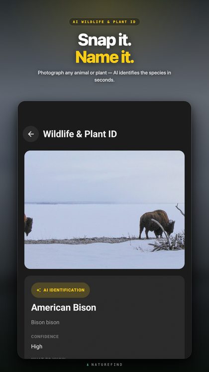 AI species identification
